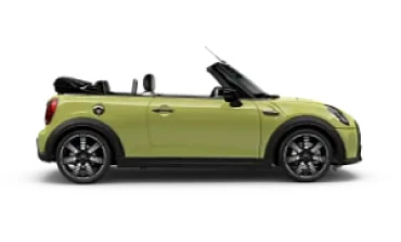 Convertible Image